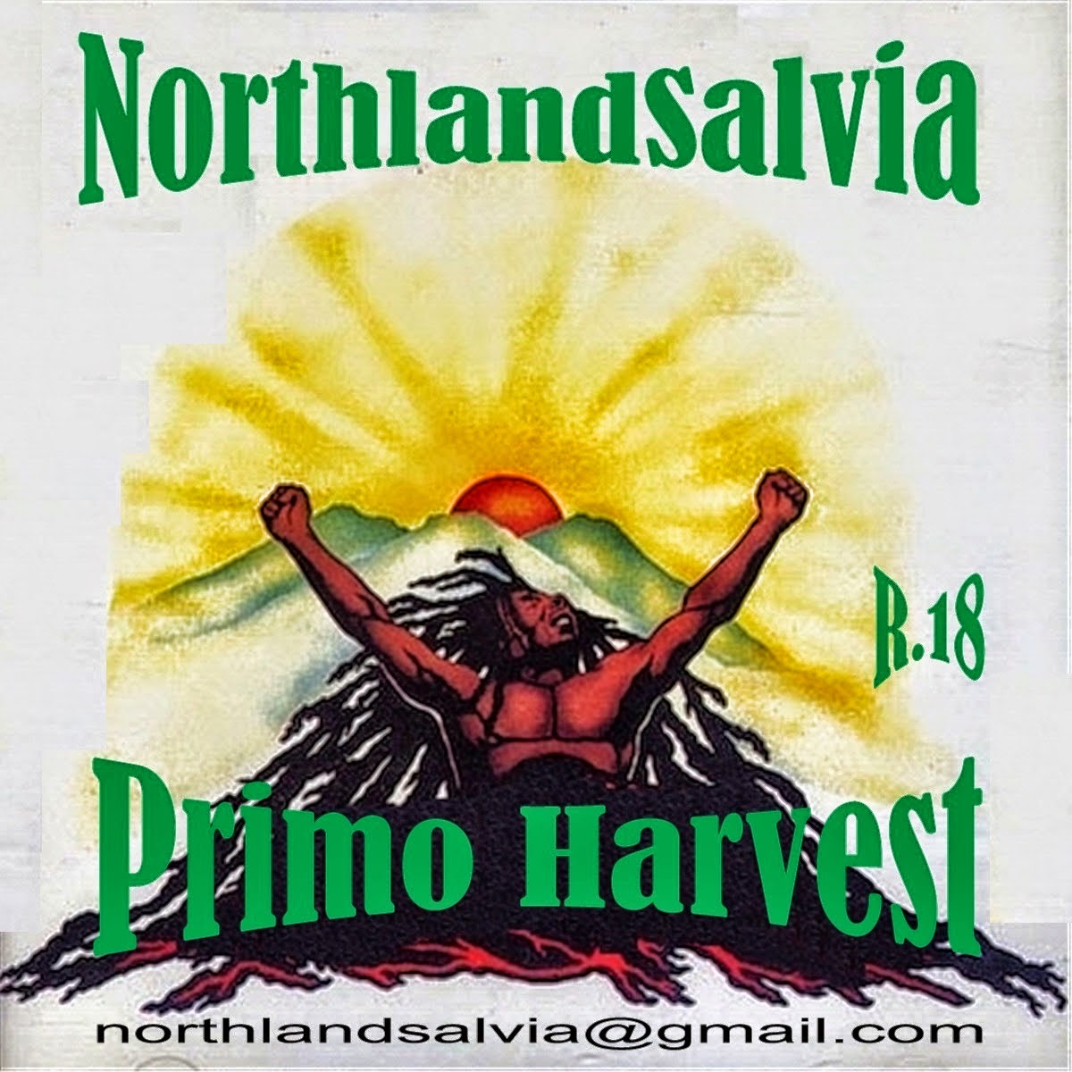 Buy Shamanic Plant Medicine Salvia Divinorum The Sage