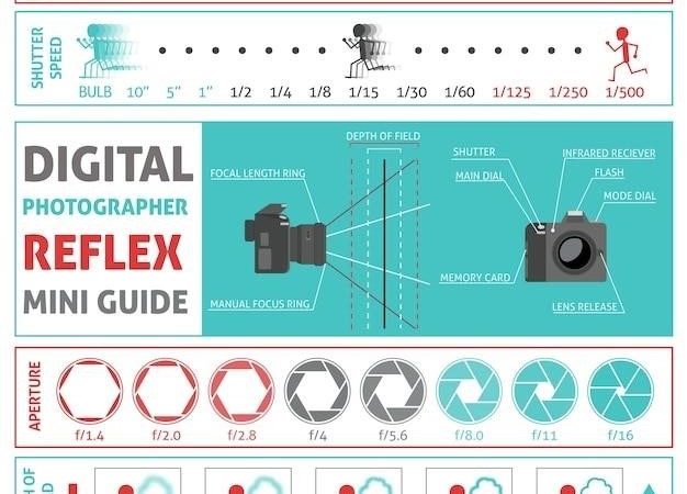 nikon d500 manual english