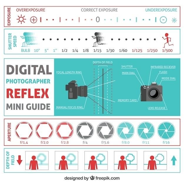 nikon d500 manual english