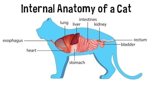 human anatomy laboratory manual with cat dissections