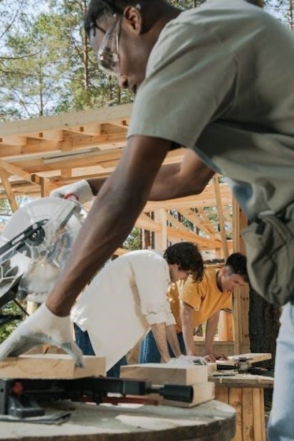 dewalt circular saw with guide rail